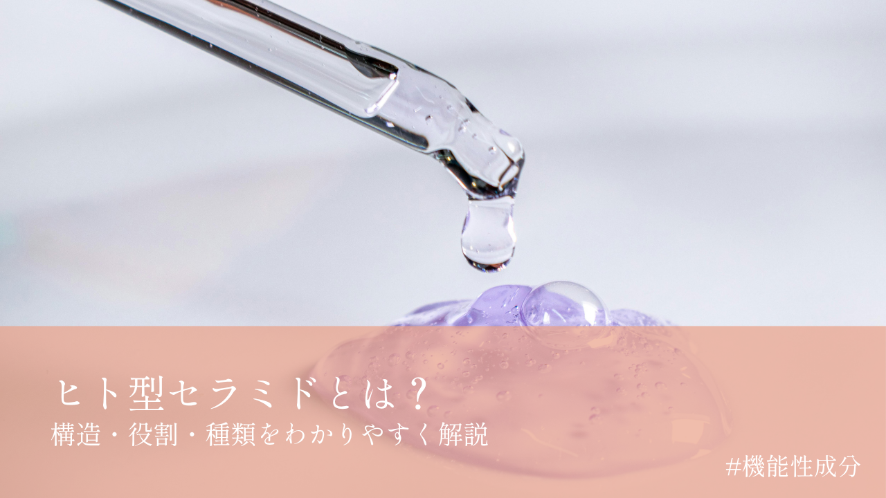 ヒト型セラミドとは？